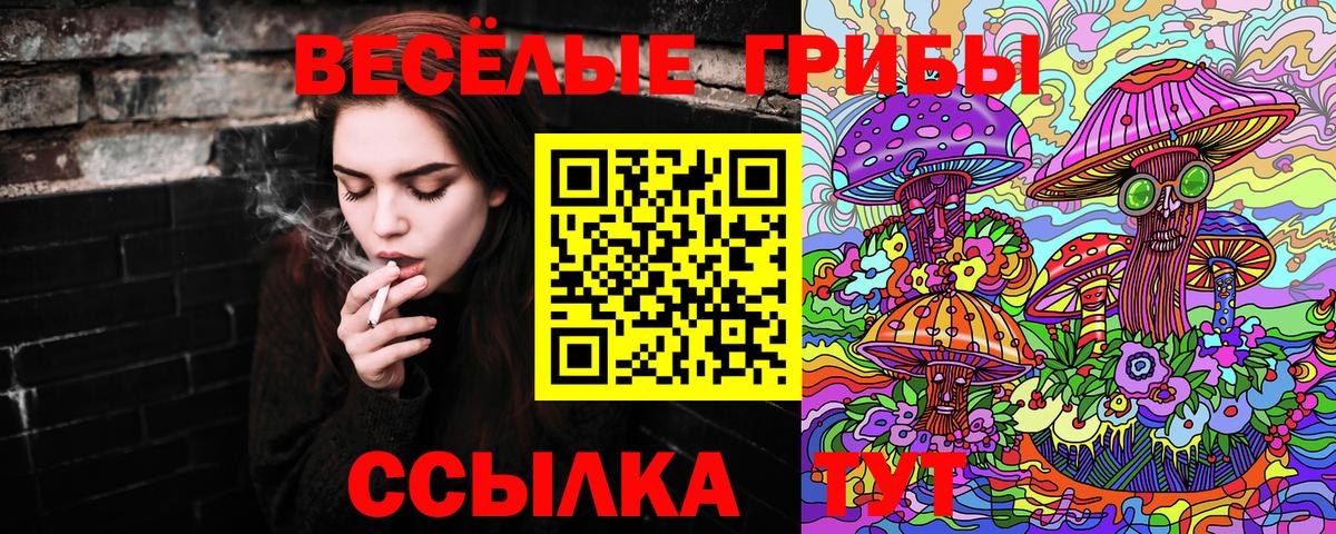 Клин  как найти   Галлюциногенные грибы Psilocybine cubensis  Вход с VPN  Псилоцибиновые грибы мицелий 